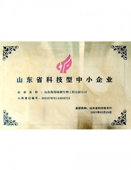 山東省科技型中小企業