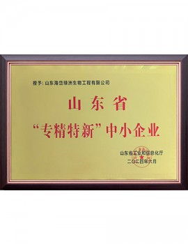 山東省“專精特新”中小企業