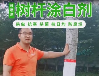 涂白劑試驗