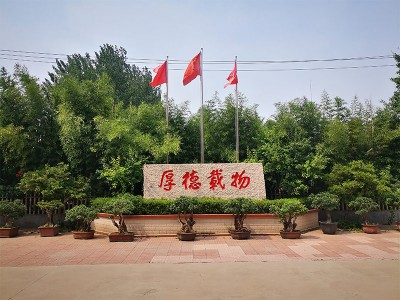 廠區一角
