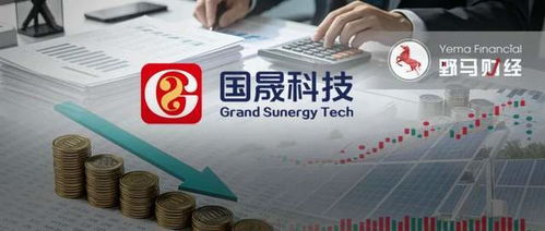 2天蒸發(fā)40億，國(guó)晟科技妖股神話破滅 鋰電故事不再講得通