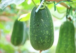 吃瓜網今日吃瓜 熱,揭秘娛樂圈最新熱點事件