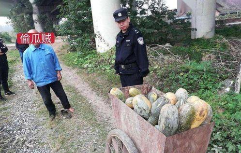 武都網(wǎng)紅吃瓜事件真相視頻,真相視頻曝光背后的真相