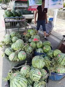 隴南網(wǎng)紅事件吃瓜,揭秘網(wǎng)絡(luò)輿論的風(fēng)暴與真相